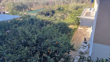 舒適開放式客房, 1 間臥室, 露台, 花園景 | 園景