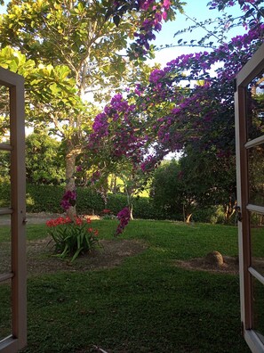 Exterior - Eco-Cabañas Altozano Nimaima (Nimaima)