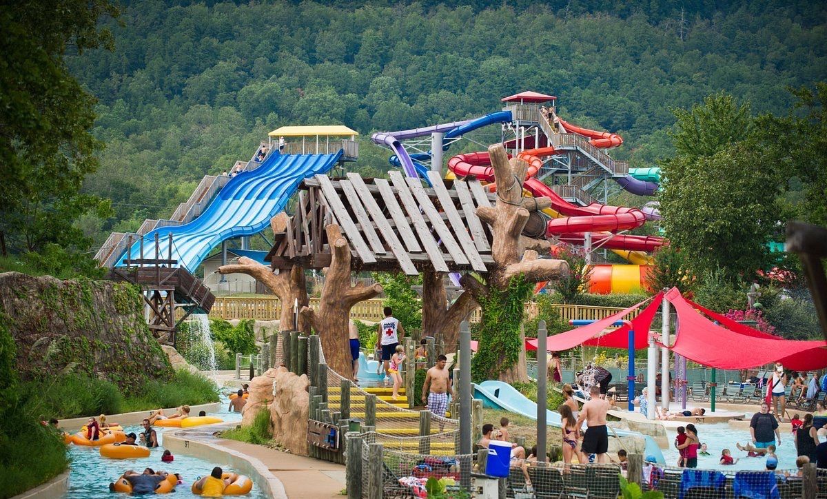 Un parc aquatique doté de nombreux toboggans et d’une structure en bois qui ressemble à un arbre.