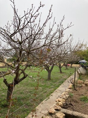 Property grounds - Villa Can Truyet - Four Bedroom Villa, Sleeps 7 (Santa Eulària des Riu)