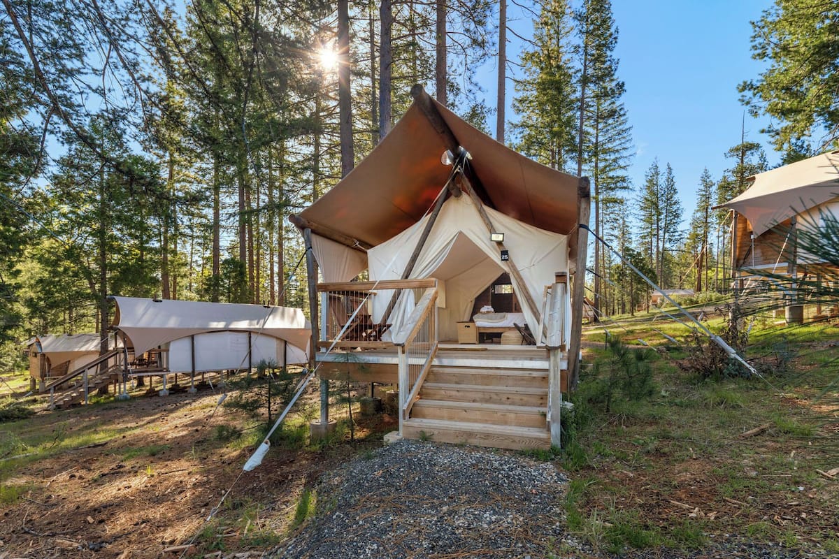 A tented accommodation with a wooden staircase leading to a bed, surrounded by trees.