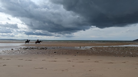 Una playa cerca