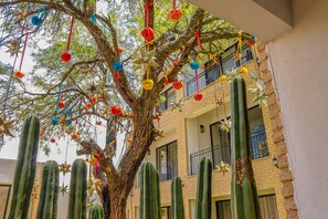 Garden - Residencias la Estación San Miguel de Allende (San Miguel de Allende)