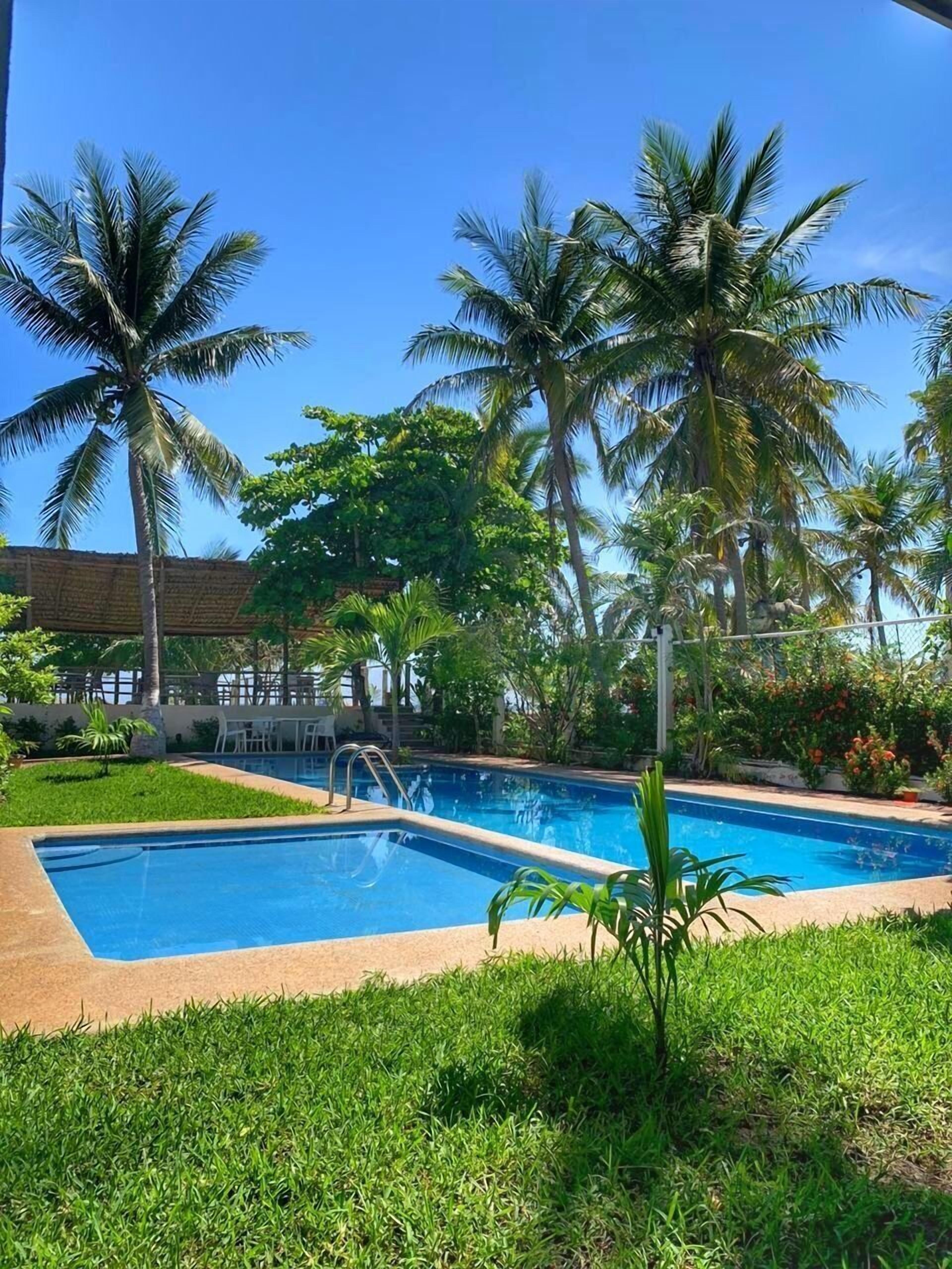 Una piscina rodeada de palmeras y follaje.