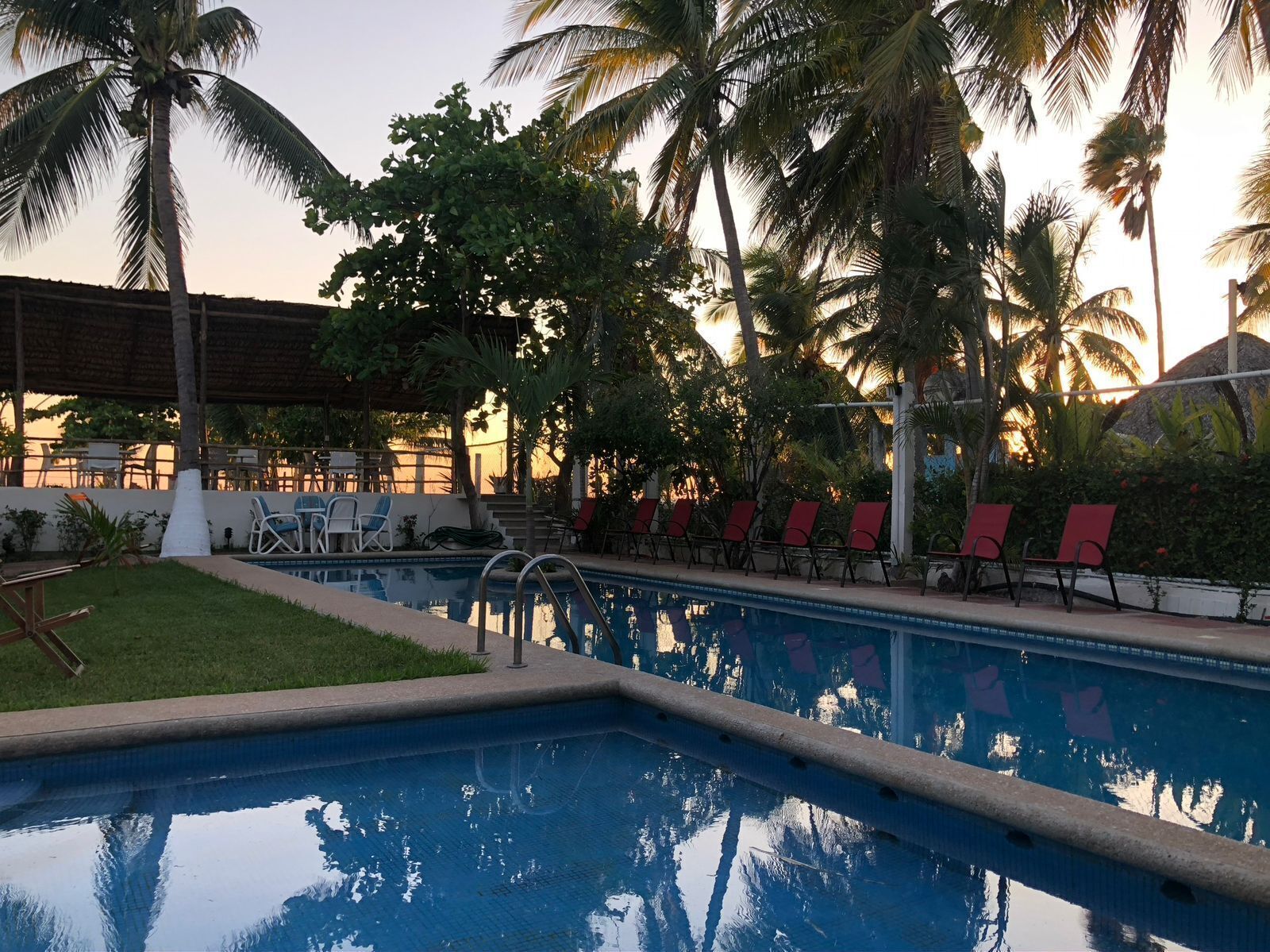 Una piscina con sillas de descanso y palmeras.