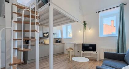 Appartement 1 chambre en duplex avec parking privé