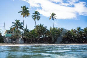 Tumbonas y toallas de playa