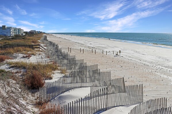 Beach | On the beach