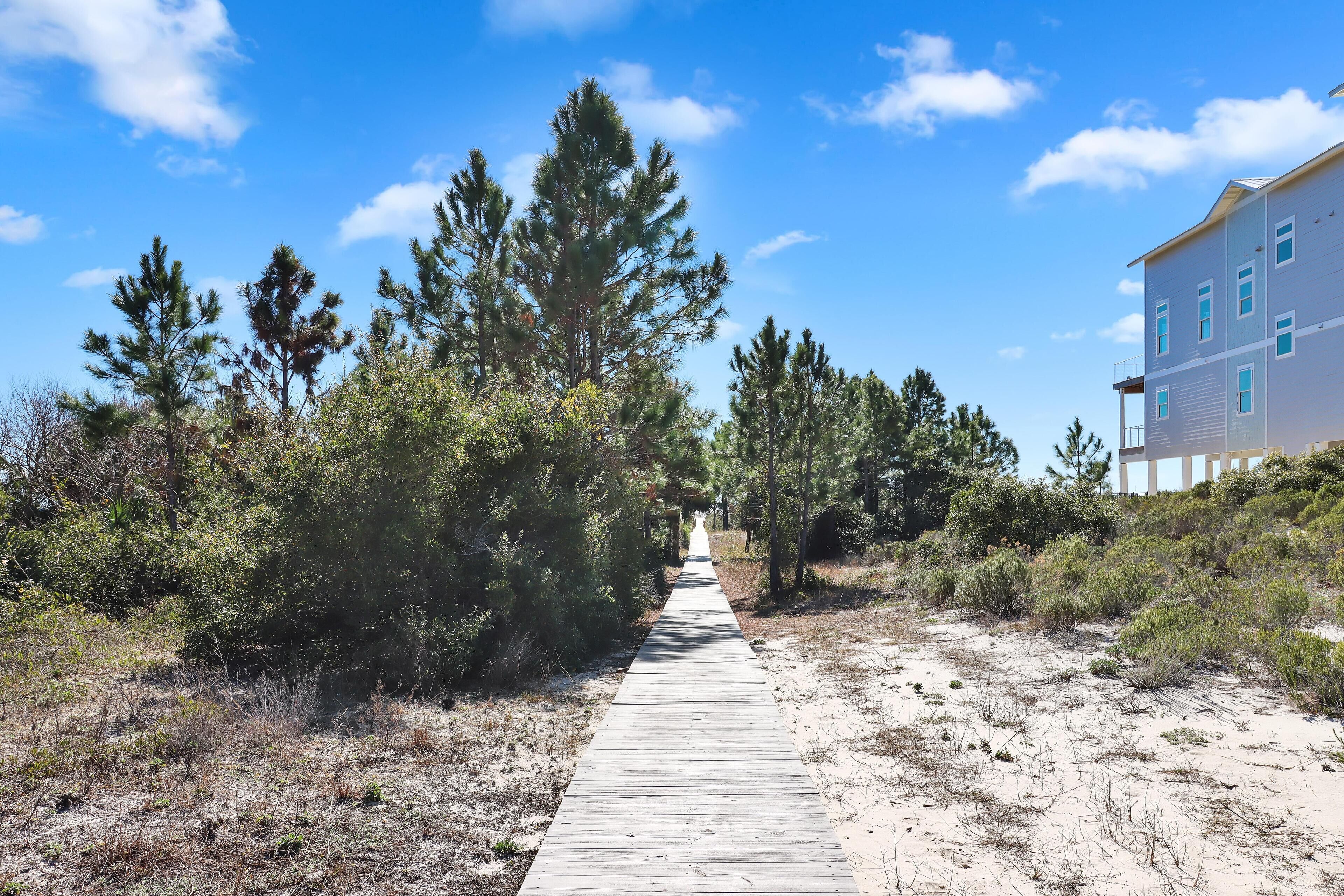 A wooden boardwalk leading through a natural landscape with pine trees and a building in the background.