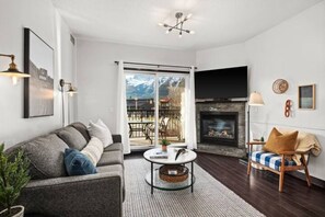 Smart TV, fireplace, books