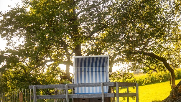 A wooden deck with a striped chair overlooking a pond with lily pads and pink flowers. - Urlaub auf dem Bartleshof (Unterkirnach)