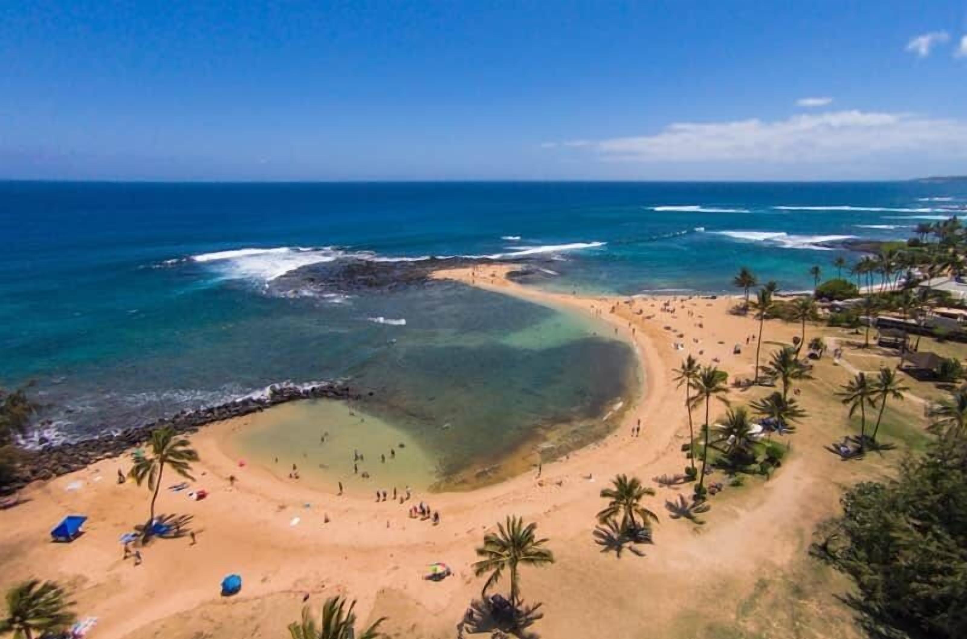 A beach with clear waters, palm trees, and a sandy shore.