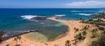 KP228-Garden-Beach-Gym-Pool-Turtles on Poipu Beach
