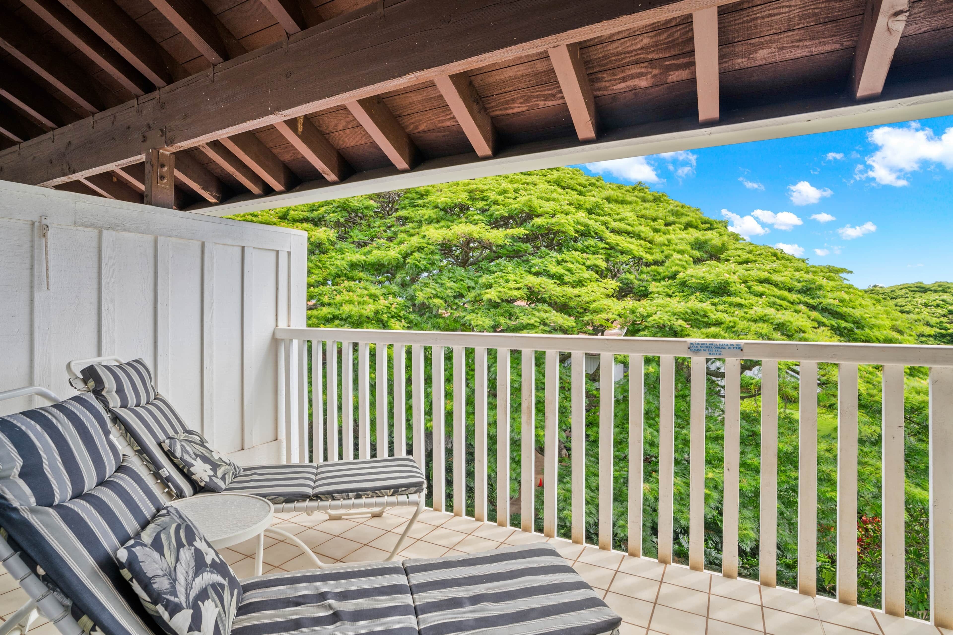 Terrain de l’hébergement 