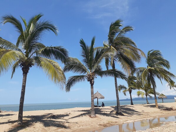 Playa en los alrededores y toallas de playa 