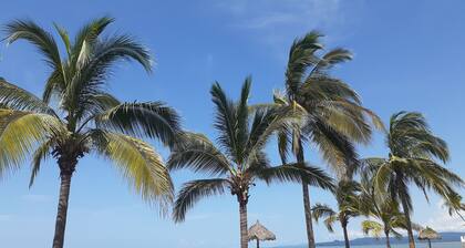 "Le Petit Oasis" a unos pasos de la Playa