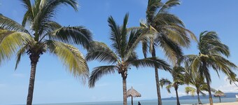 "Le Petit Oasis" just a few steps from the beach