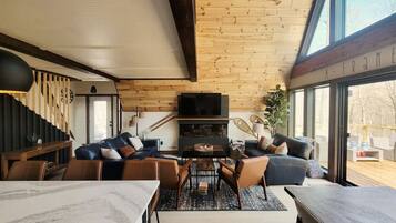 Smart TV, fireplace, video games, books
