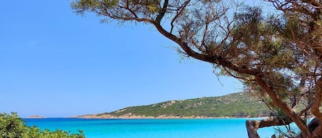 Playa