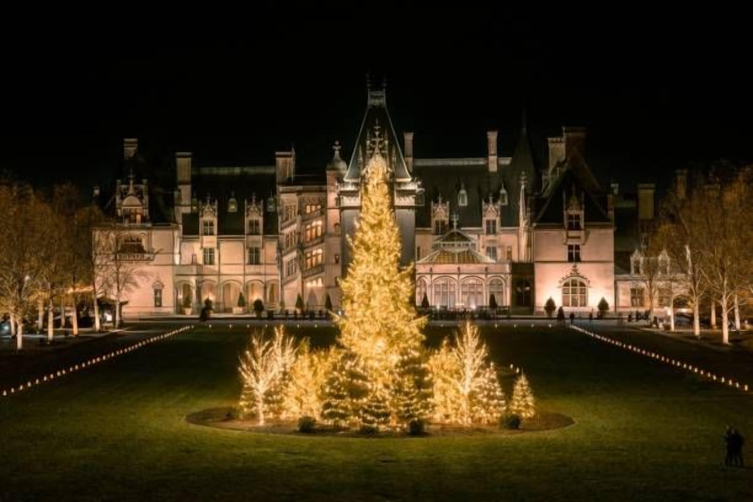 Wander Biltmore at Christmas, when the front-lawn tree glows and the whole estate lights up. About 25 minutes away, and worth planning a trip around.