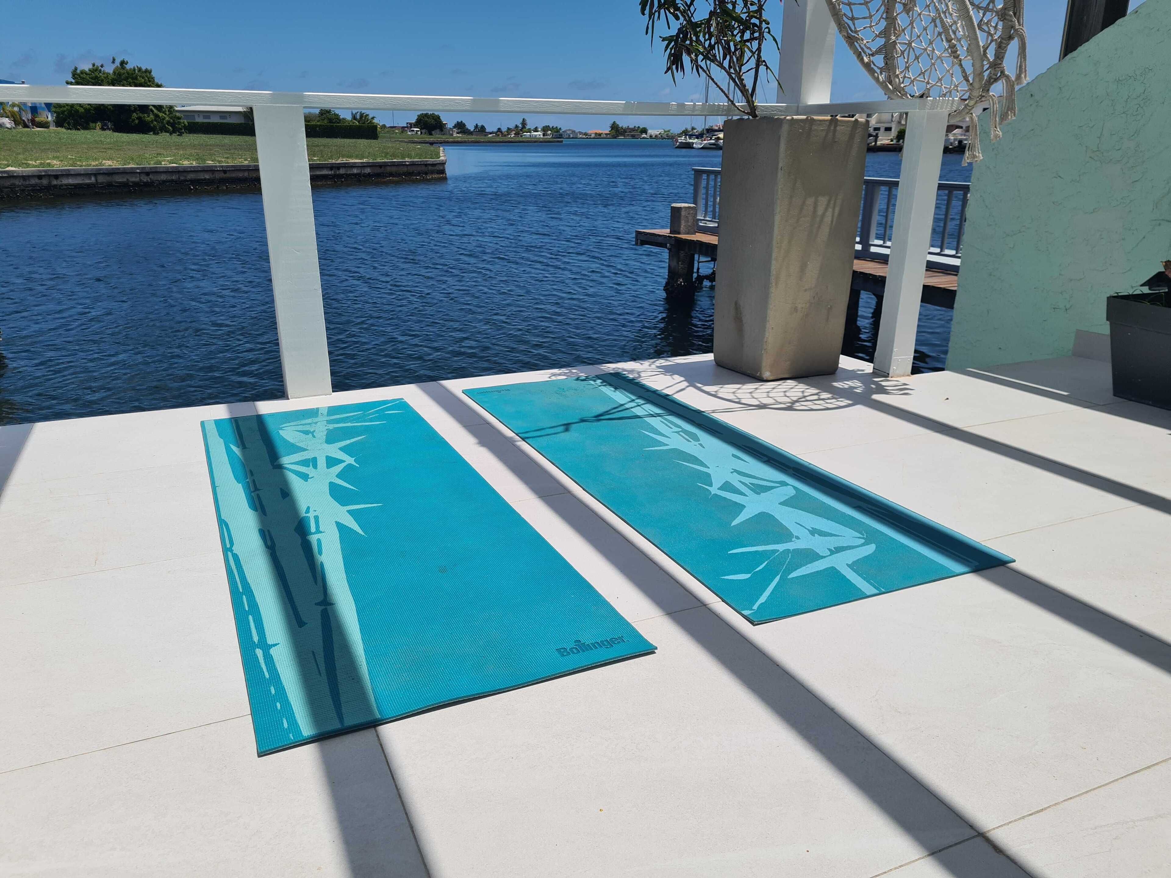 Un balcon avec deux tapis bleus et une vue sur une étendue d’eau.
