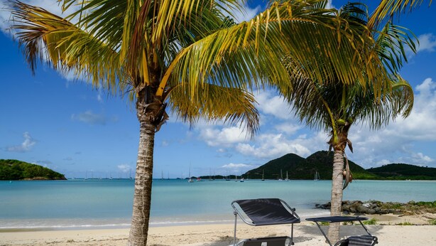 A beach with two palm trees, a clear blue sky, and a calm sea. There are two empty lounge chairs on the sand. - Wild Lotus Villa - Waterfront on Jolly Harbour (Jolly Harbour)