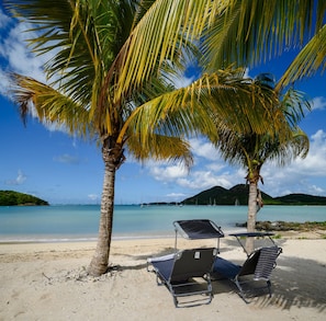 A beach with two palm trees, a clear blue sky, and a calm sea. There are two empty lounge chairs on the sand. - Wild Lotus Villa - Waterfront on Jolly Harbour (Jolly Harbour)