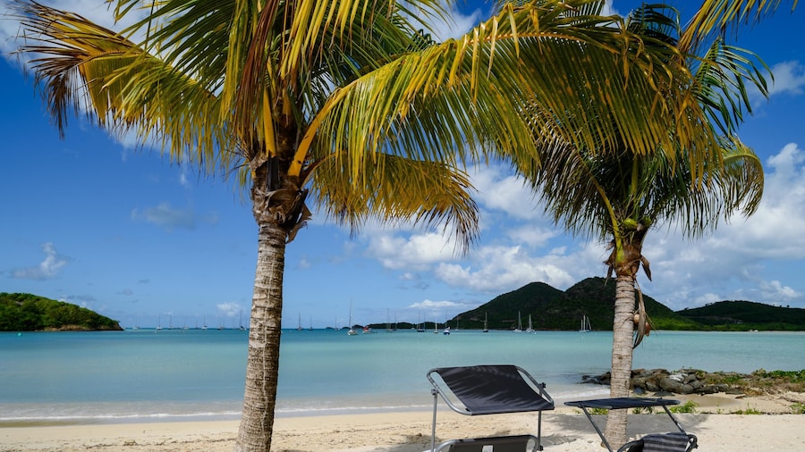 Wild Lotus Villa - Waterfront on Jolly Harbour
