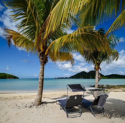Wild Lotus Villa - Waterfront on Jolly Harbour