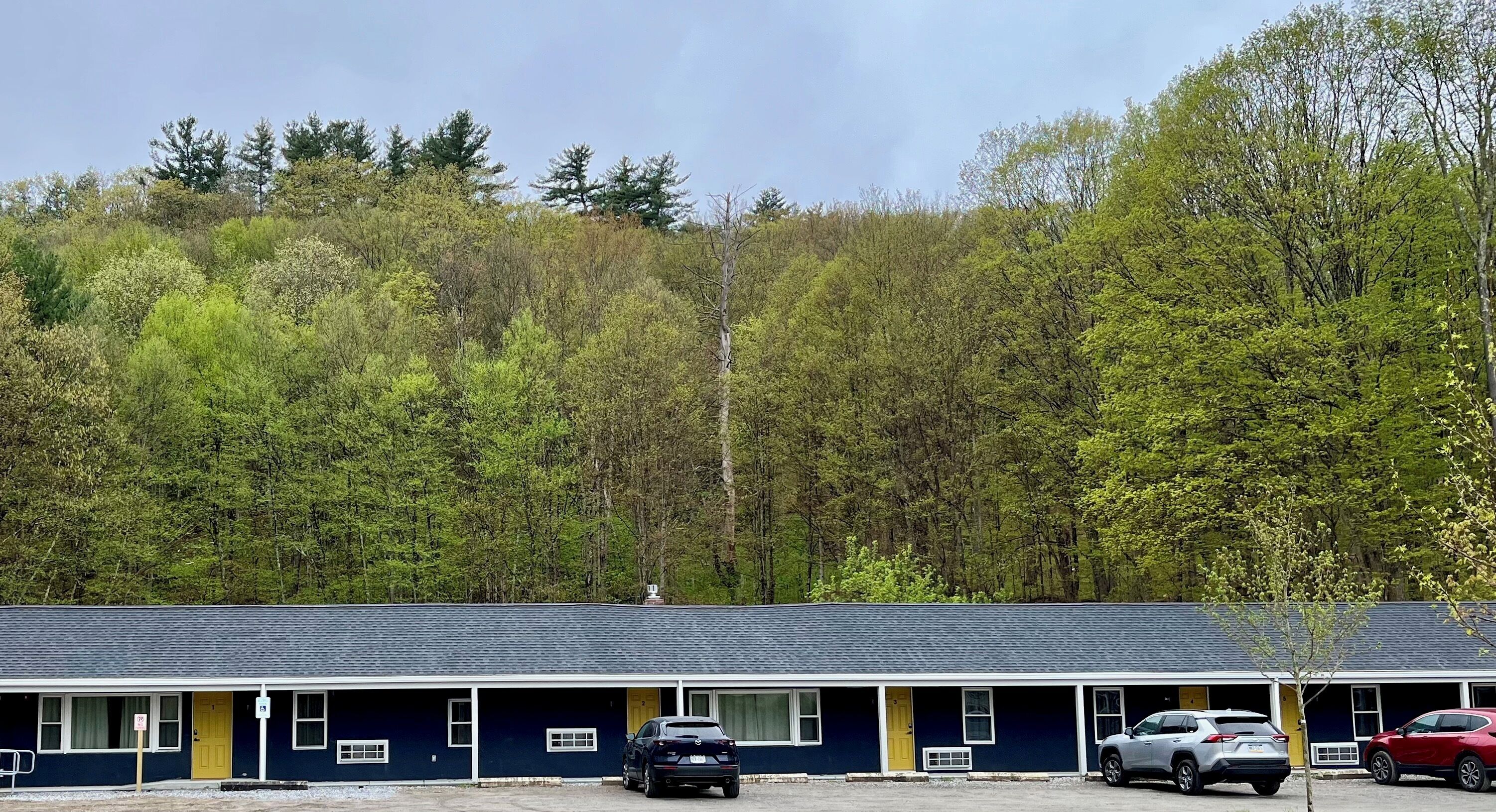 A motel with a row of rooms, each with a door and a window.