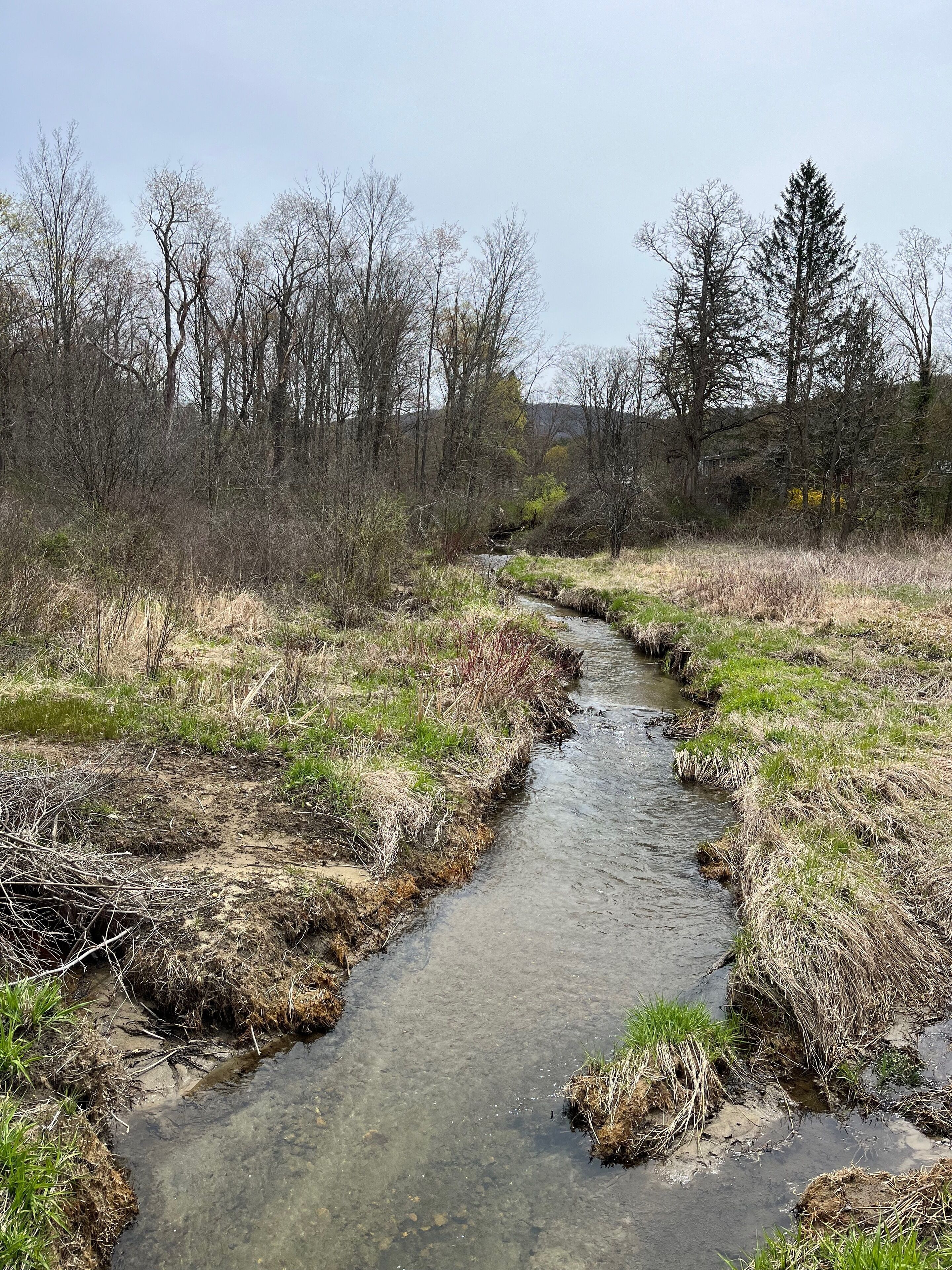 A narrow water channel surrounded by dry grass and trees.