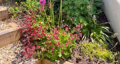 The Roost in the Blackdowns