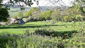 A rural landscape with a house, green fields, and trees. - The Roost in the Blackdowns (Hemyock)