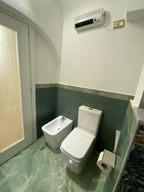 Regadera, secadora de cabello, bidet, toallas 