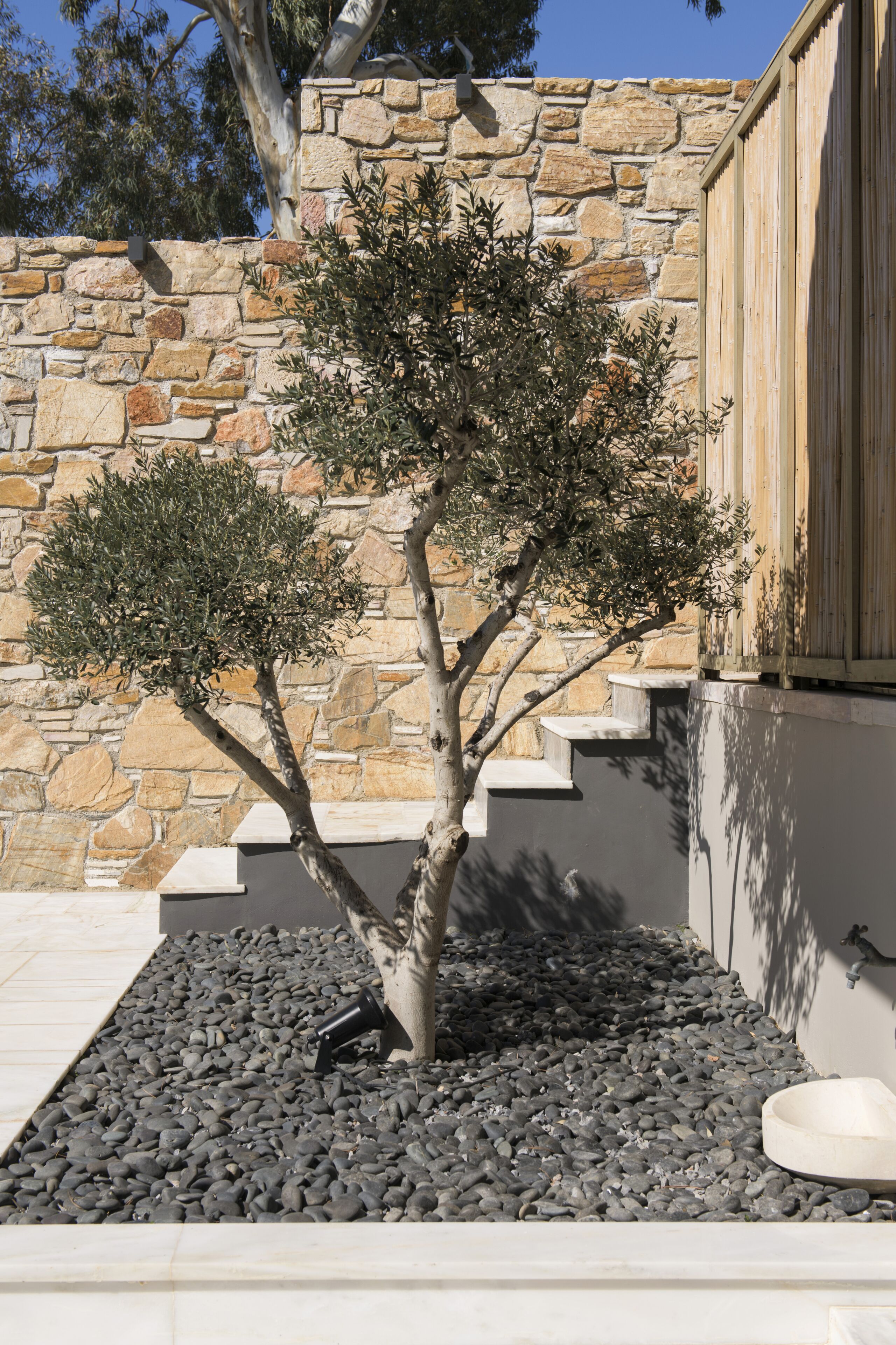 Un mur de pierres avec un petit arbre planté dans un pot.