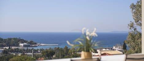Un balcón con vista al mar, una planta en maceta y una silla.