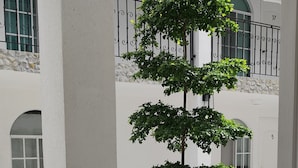 Habitación doble, accesible para personas con discapacidad, microondas | Terraza o patio