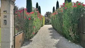 A gravel pathway flanked by tall, manicured hedges and vibrant pink flowers, leading to a gated entrance.