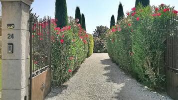 Terrein van de accommodatie