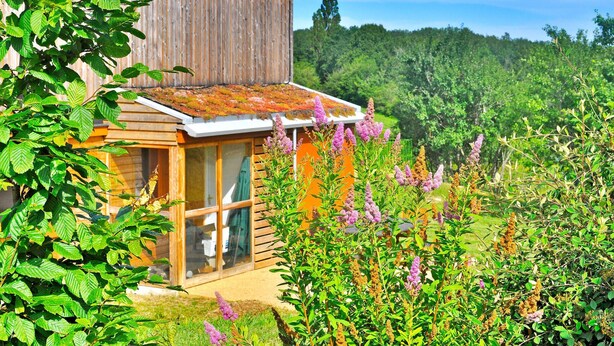 A wooden cabin with a glass door, surrounded by lush greenery and flowering plants.