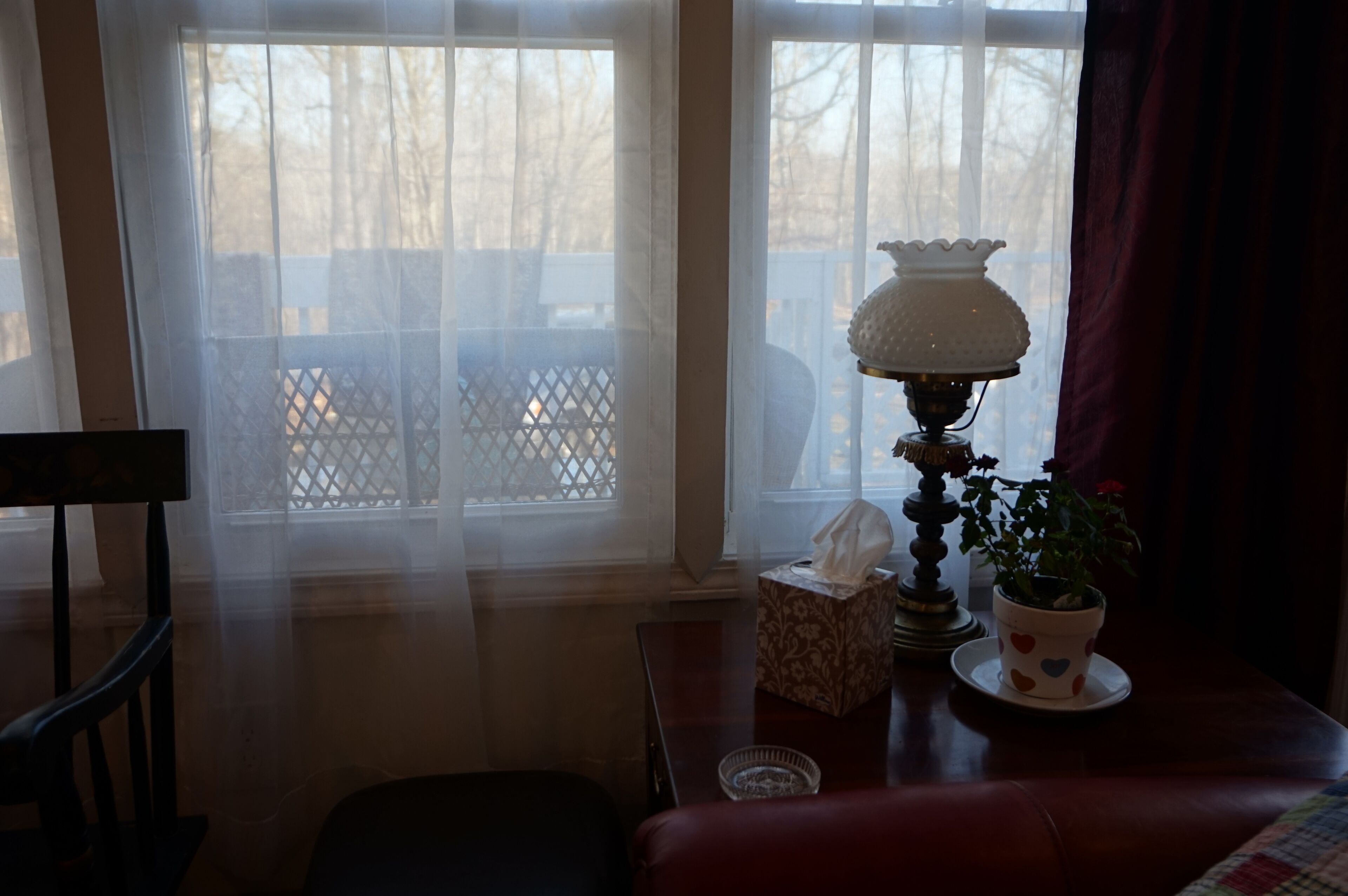 Una habitación con ventana, lámpara, caja de pañuelos y planta en maceta sobre una mesa.
