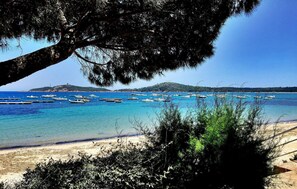 Beach - Beautiful home in ZONZA (ZONZA)