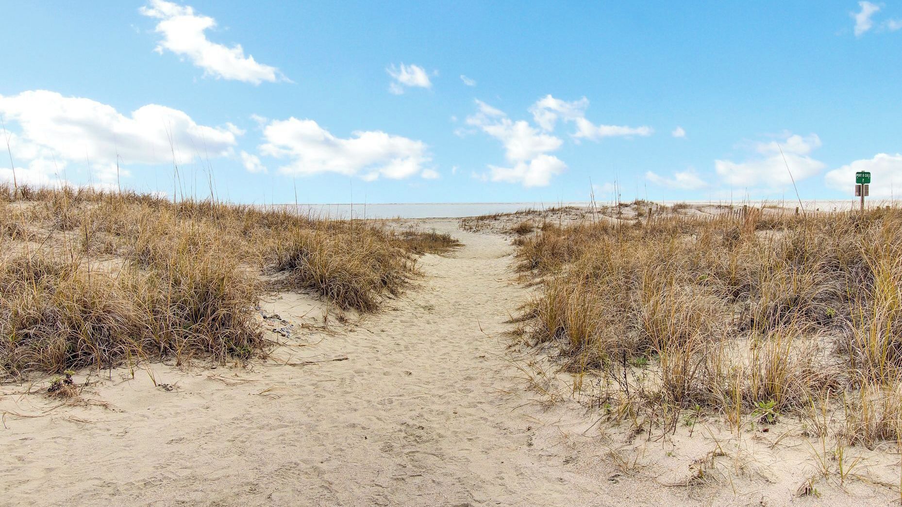A sandy path leading through a dune landscape with sparse vegetation.