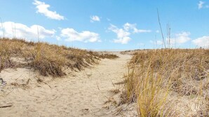 Un sendero arenoso bordeado de pasto seco a ambos lados, que se adentra hacia el mar bajo un cielo despejado.