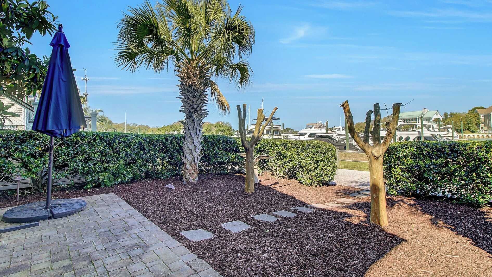 Zona esterna curata con palme, un ombrellone blu e un vialetto lastricato.