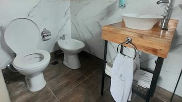 Regadera, secadora de cabello, bidet, toallas