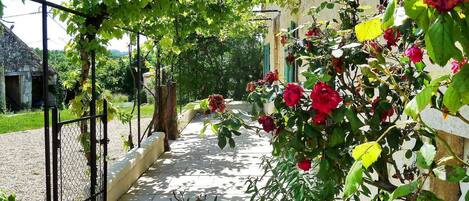 Détail de l’extérieur