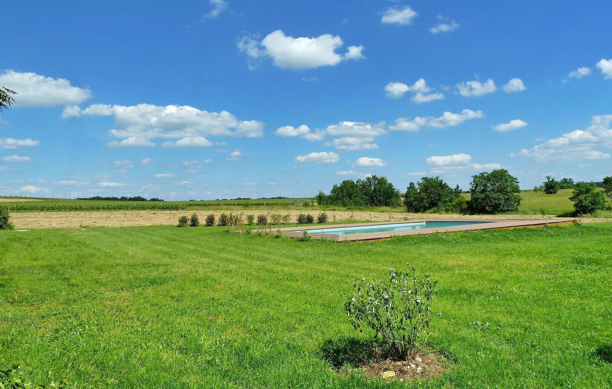 A grassy field with a swimming pool and trees in the background.