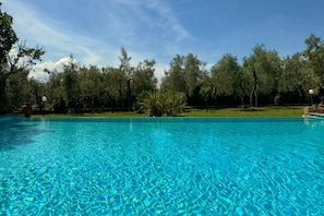 A clear blue swimming pool surrounded by trees and a grassy area.
