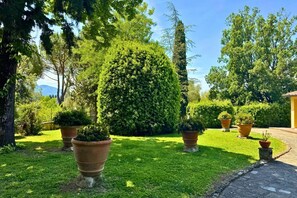 A well-maintained garden with neatly trimmed grass, several large potted plants, and a stone pathway leading to a building. - Villa Fortini by MMega (Bagno a Ripoli)